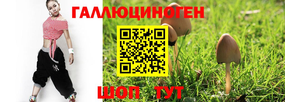 Галлюциногенные грибы MAGIC MUSHROOMS Ревда